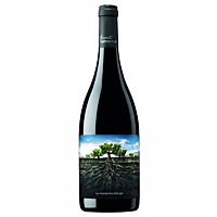 Garnacha Salvaje Del Moncayo vino tinto joven 75 cl