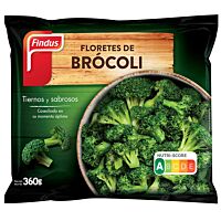 Findus floretes brócoli ultracongelado 360 g