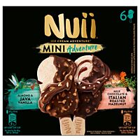 Nuii helado mini de avellanay almendra java 6 x 55 ml