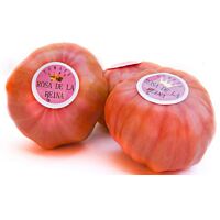 Tomate rosa kg