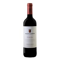 Domino de Valdepusa vino tinto crianza 75 cl