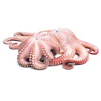 Pulpo elaborado descongelado pieza entera