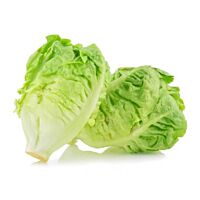 Lechuga cogollo bandeja 2 ud