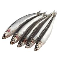 Boquerón pieza entera
