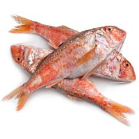 Salmonete pieza entera