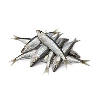 Sardina nacional pieza entera