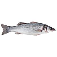 Lubina pieza entera 400 - 600 g