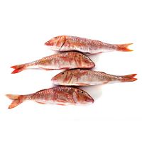 Salmonete de Senegal pieza entera