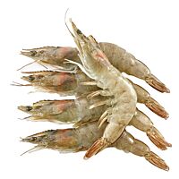 Langostino crudo 60-70 congelados kg
