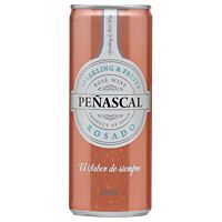 Peñascal vino rosado 25 cl PEÑASCAL