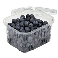 Arandano tarrina 400 g