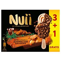 Nuii helado de caramelo nueces macadamia 3 + 1 x 90 ml