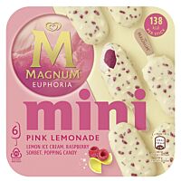 Magnum helado mini Euphoria 6 x 55ml