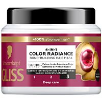 Glis mascarilla color 4en1 400 ml