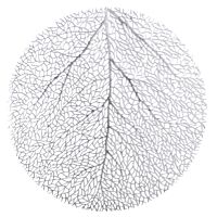 Mantel individual surtido 38 cm