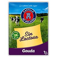 Castillo queso gouda sin lactosa en lonchas 150 g