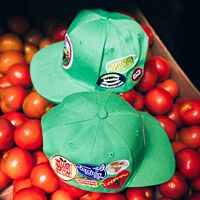 HiperDino x CHACHO SVNRS gorra stickers ud