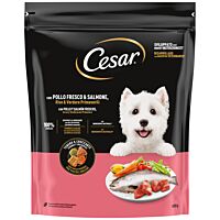 Cesar pienso seco de perro pollo y salmón 800 g