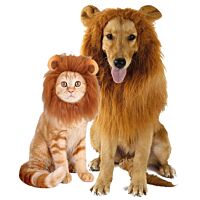 Disfraz para gato/perro de león