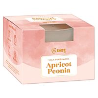 Ifa Sabe vela perfumada apricot peonia vaso