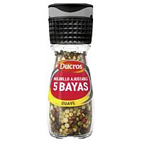 Ducros molinillo ajustable 5 bayas 24 g