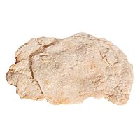 Pollo pechuga empanada kg