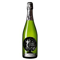 Campo de Estrellas brut nature cava joven 75 cl