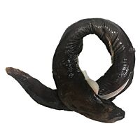 Morena negra kg
