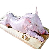 Cochinillo pieza aproximado 5 kg