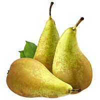 Pera conferencia al peso