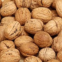 Nueces a granel