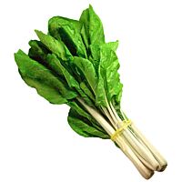 Acelgas manojo 300 g FRUTERIA