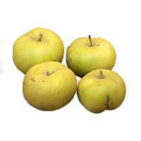 Manzana reineta al peso