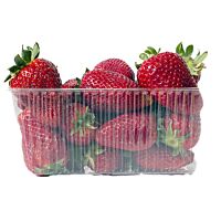 Fresa tarrina 500 g