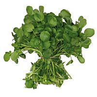 Berros bolsa 300 g
