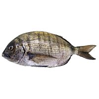 Sargo pieza entera