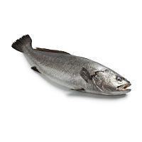 Corvina pieza entera