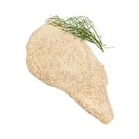 Pollo cordon bleu filetes kg