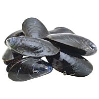 Mejillón selección kg