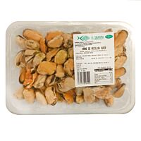 Vianda mejillón gallego mediano 450 g